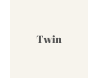 Twin 
