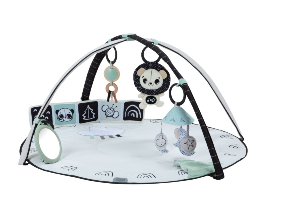 Tiny Love Black & White Décor Gymini